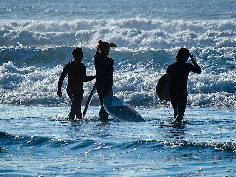 Groupe de surfeurs entrant dans l'eau avec leurs planches, leçon de surf en bord d'océan.